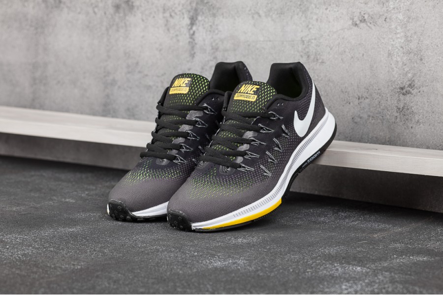 Air Zoom Pegasus 33